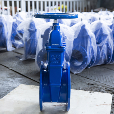 Soft Sealing GGG50 GGG40 Gate Valve Water Gas Oil Dn50 PN16 Iron Cast Steel