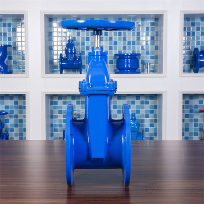 GGG40 QT450 Elastic Seat Gate Valve PN16 Carbon Steel Gate Valve