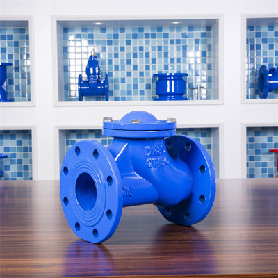 Cast Iron DN100 Flanged Swing Check Valve PN250 GGG50 Water Treatment