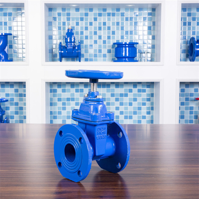 PN16 Iron Soft Seal Gate Valve GGG40 GGG50 DN50 Din F4 Gate Valve