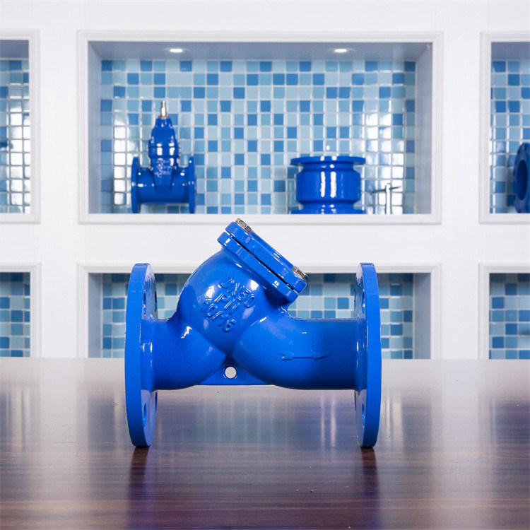 GGG50 Ductile Iron Y Strainer Drain Filter DN150 Flange Sewage Treatment