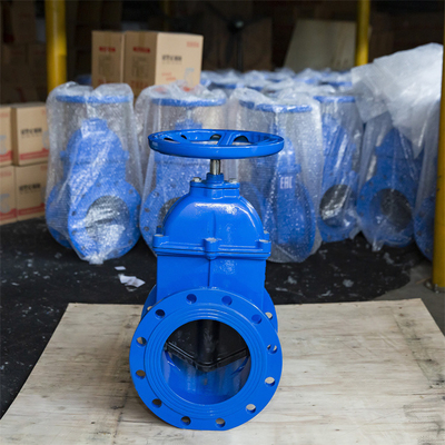 DN50 Resilient Seat Gate Valve  Ductile Iron Flanged PN16 Double Epoxy Coating