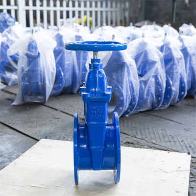 Flange Ends PN16 PN10 Hand Wheel Gate Valve F4 Copper Wire Inner Dn250 Gate Valve