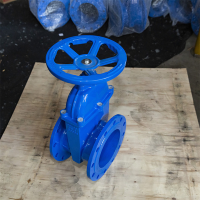 Pn16 Pn10 QT450 GGG40 Elastic Seat Gate Valve Threaded Handwheel Copper Wire Inner