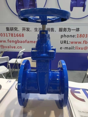 Water Pressure Ductile Iron Gate Valve QT400 DN100 PN16 Wastewater