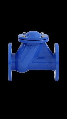 BS DIN Ball Check Valve Rubber Seat GGG50 PN16 QT450 Wastewater Oil Gas
