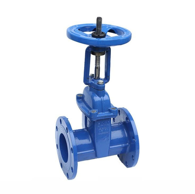Pn10 DN20 Resilient Seat Flange Cast Iron Rising Stem Wedge Gate Valve