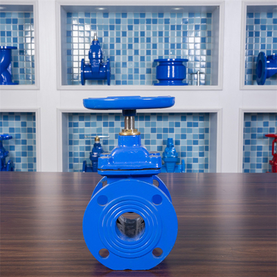Cast Iron Stem Ductile Iron Resilient Seated Gate Valve PN10 PN16 Customized