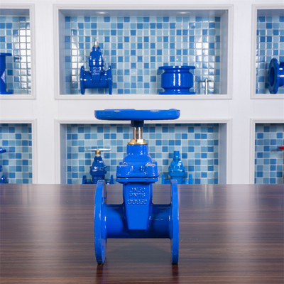 Cast Iron Stem Ductile Iron Resilient Seated Gate Valve PN10 PN16 Customized