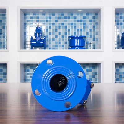 Dn250 Ductile Iron Y Strainer Flange QT400 Water Line Sewage Pipe