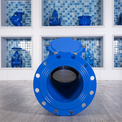 Ductile Cast Iron Y Type Strainer Blue DIN Flange End Y Type Strainer