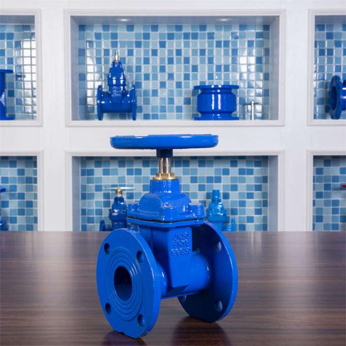 DN100 Flanged End Gate Valve PN10 F4 Copper Nut Ggg40 Gate Valve